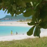 浜比嘉島_浜比嘉ビーチ_木陰